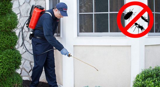 Güneysu Dezenfeksiyon böcek ilaçlama ve haşere kontrolü — ilaclama-tr.com